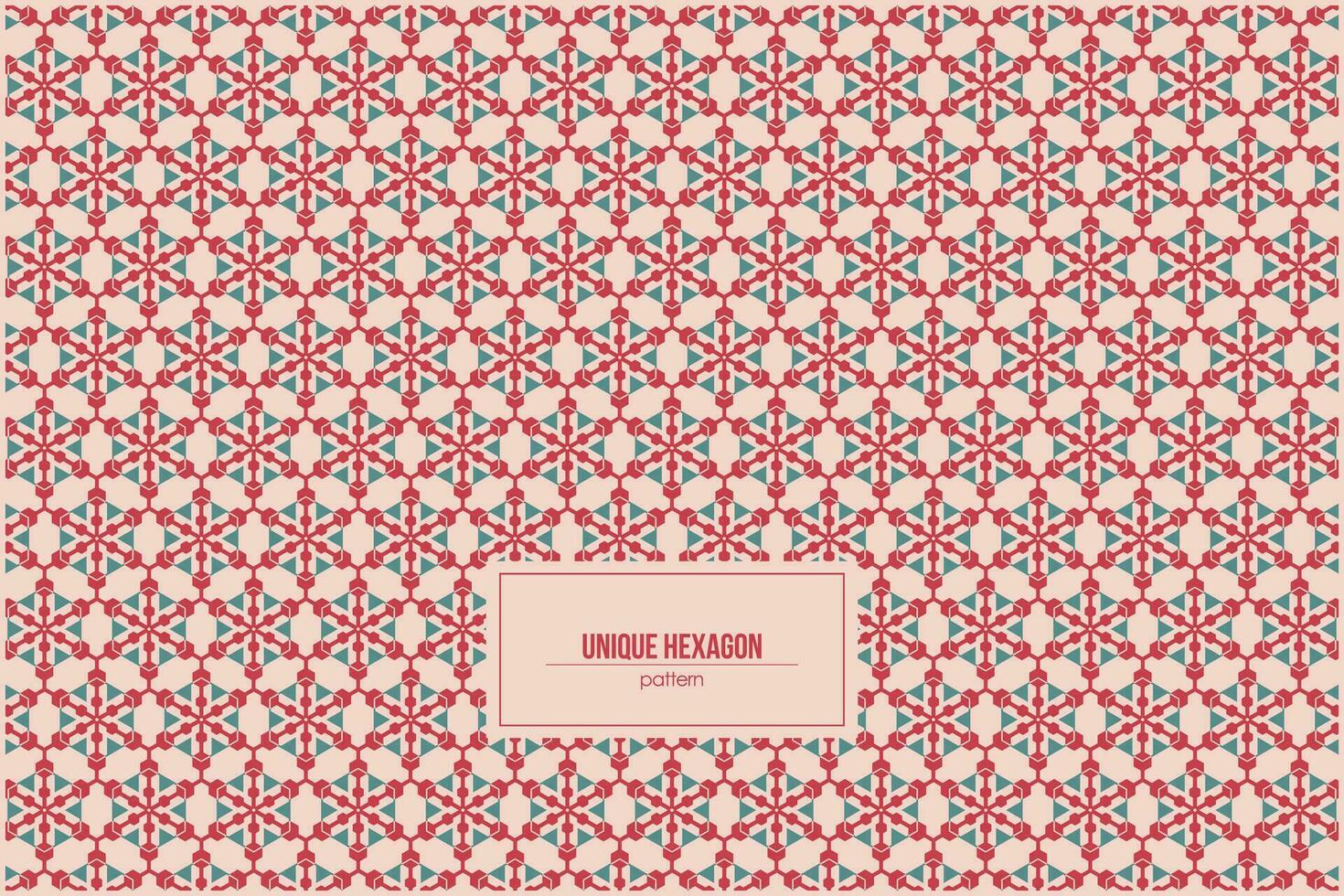 beautiful pattern of unique hexagon combination vector