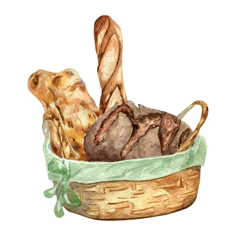 Variety of bread in a straw basket watercolor illustration isolated on white background. Hand drawn composition of ciabatta for bakery. Painted rye bread. Element for design bakeshop, signage vector