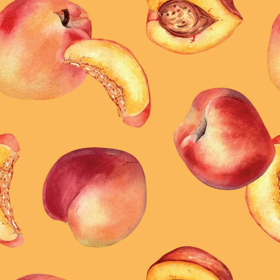 Watercolor seamless pattern with nectarines and peaches isolated on background. Whole ripe and half fruits. Apricot hand drawn. Design element for package, textile, wrapping paper, fabric vector
