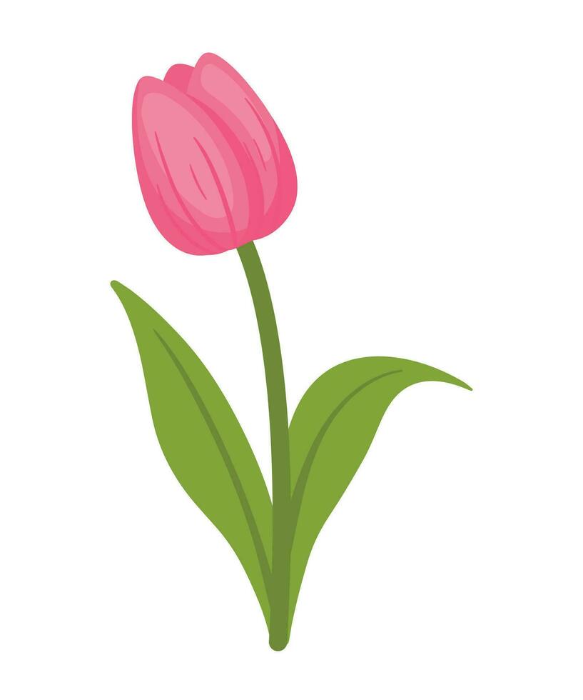 rosado tulipán flor planta vector ilustración