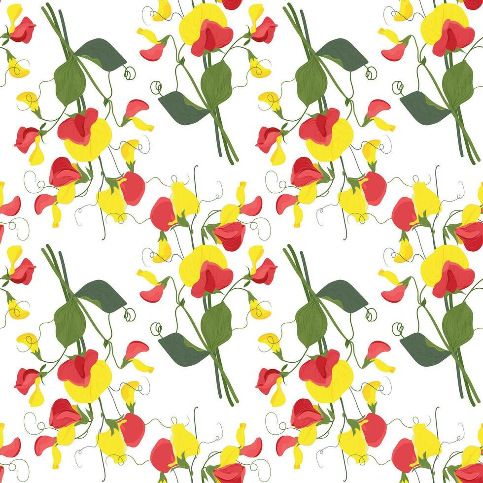Seamless vector pattern with sweet pea flowers. Floral pattern for wallpaper or fabric, textile. Red and yellow summer flowers and green foliage on a white background.