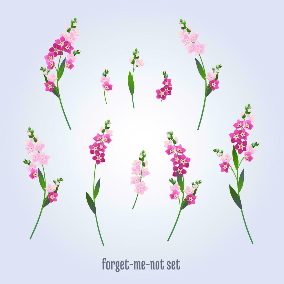 Set of wedding elements, forget-me-nots vector