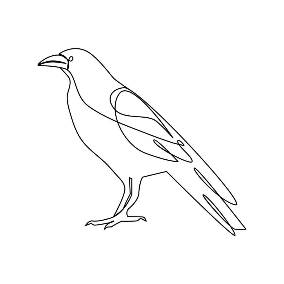 Crow bird continuous single line art outline drawing of minimalism Vector illustration design on white background