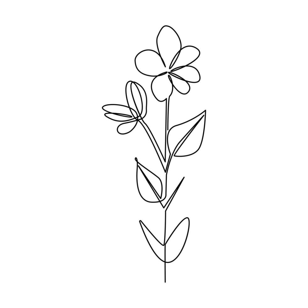 Vector flower in one line art drawing isolated on white background minimalist