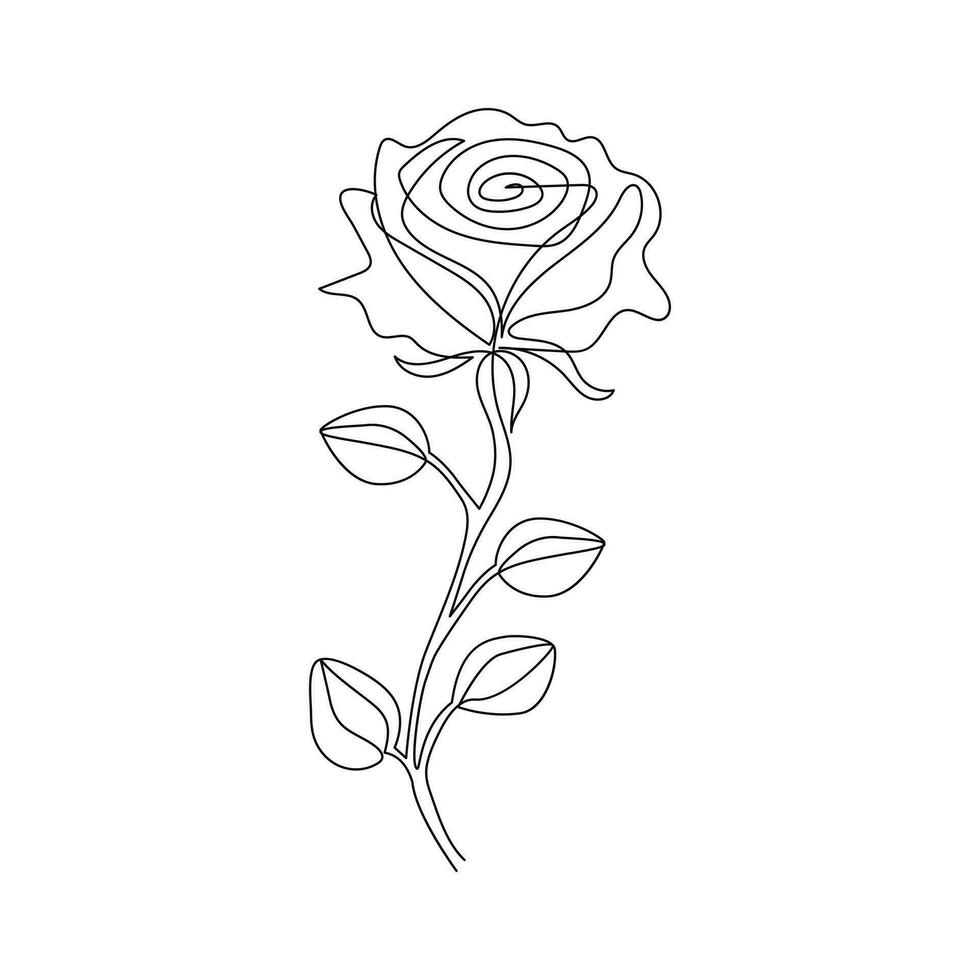 Rose flower in one line art outline simple drawing vector illustration on white background