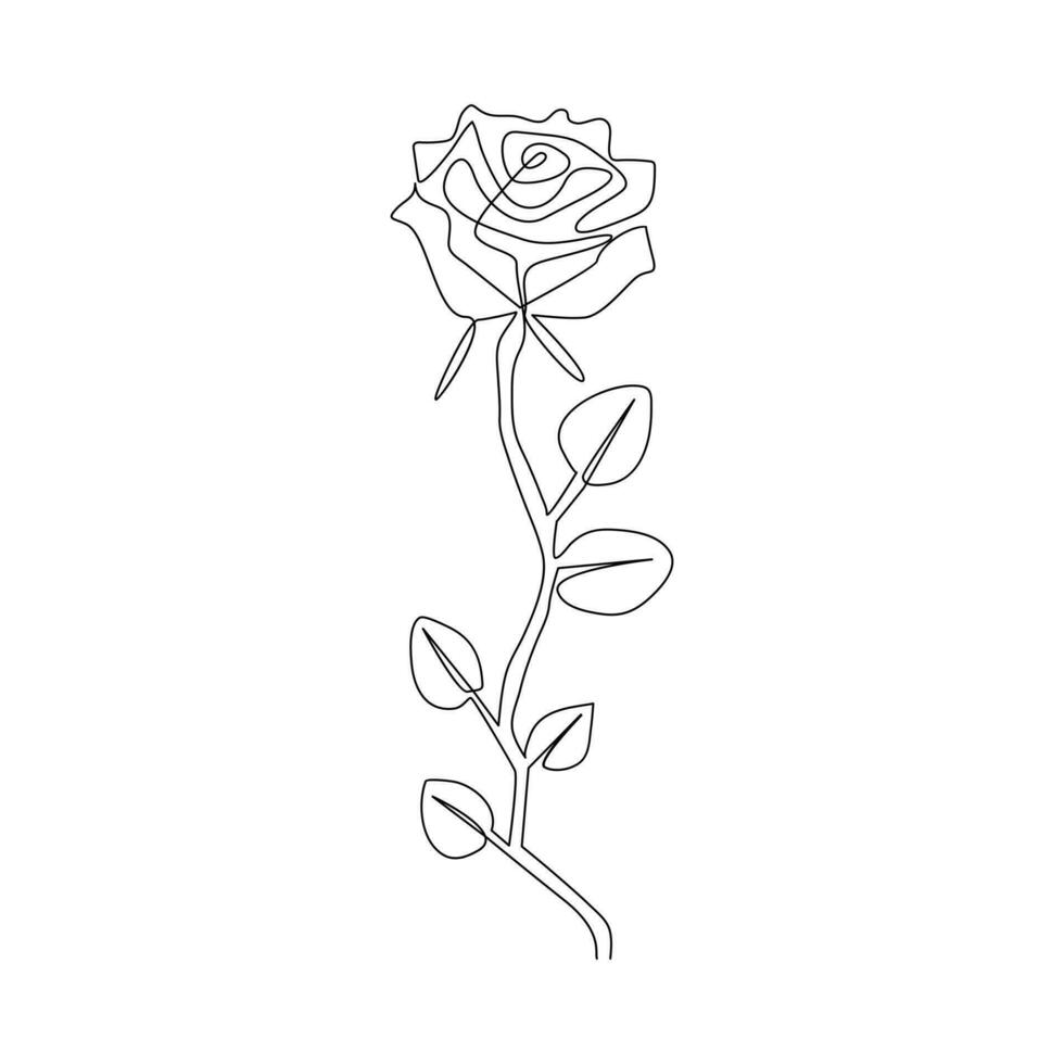 Rose flower in one line art outline simple drawing vector illustration on white background