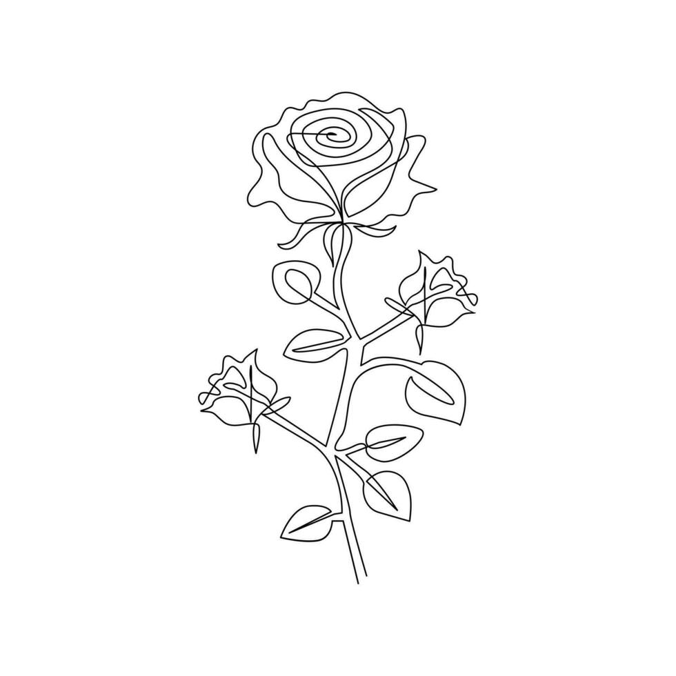 Rose flower in one line art outline simple drawing vector illustration on white background