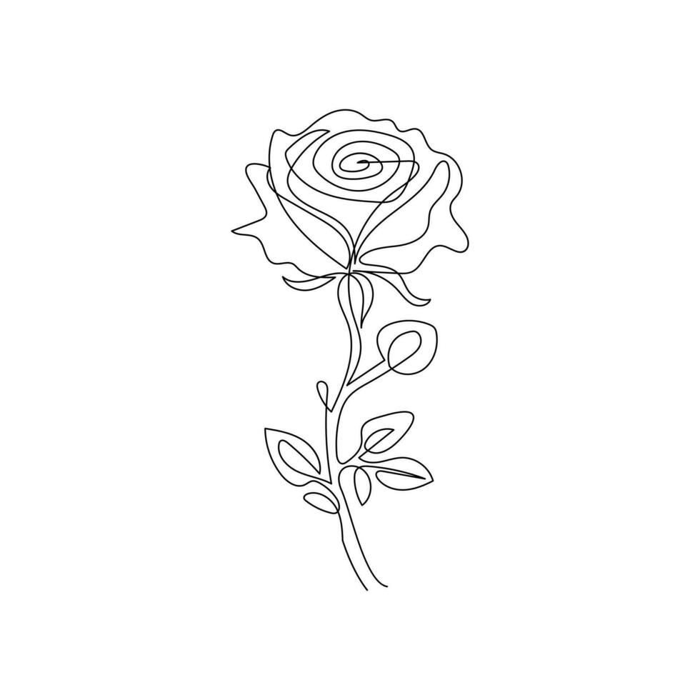 Rose flower in one line art outline simple drawing vector illustration on white background