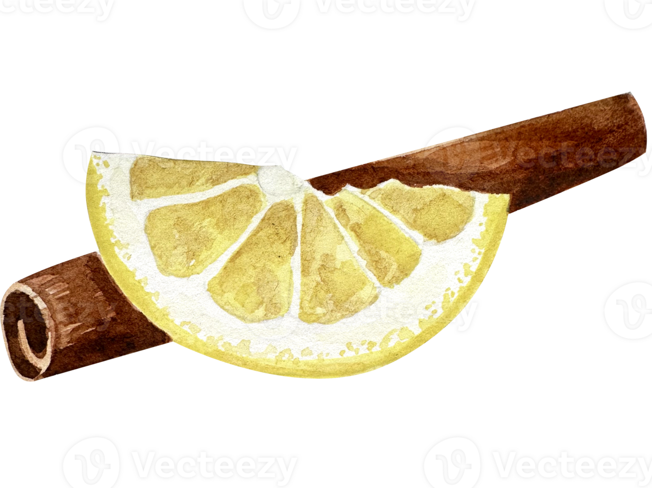 Cinnamon and lemon watercolor illustration set.  Healthy organic herbs for cooking. Isolated winter delights. Isolated cinnamon sticks. png