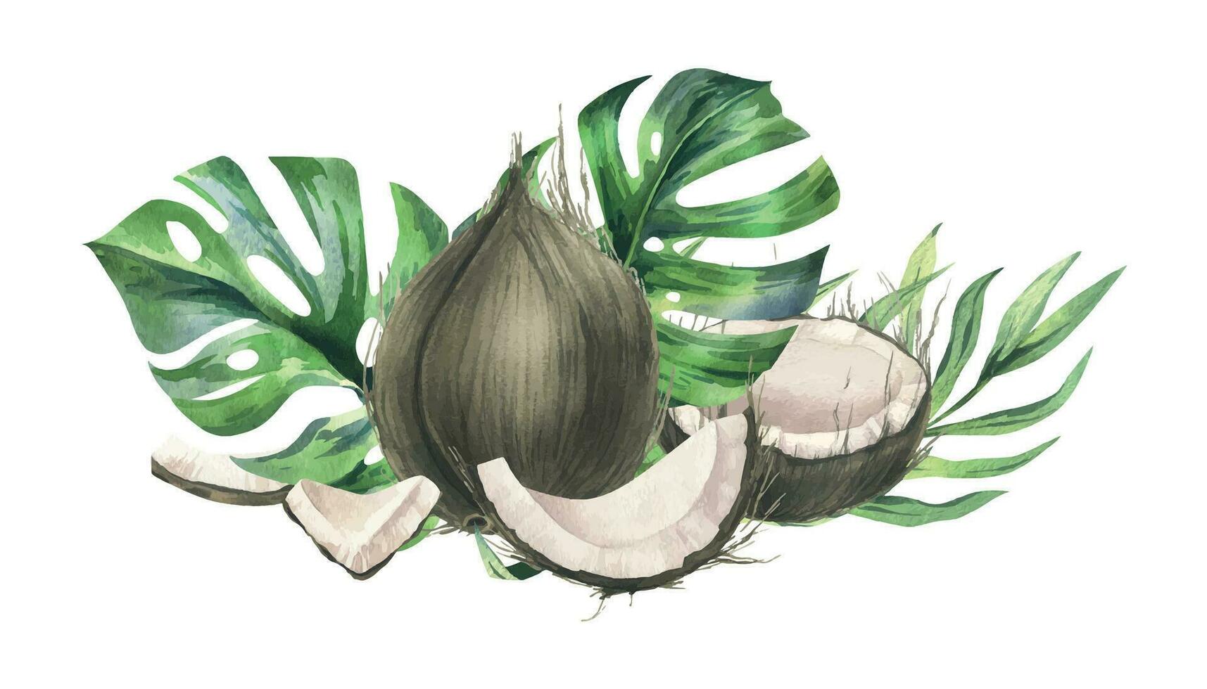 cocos entero, mitades y piezas con brillante, verde, tropical palma hojas. mano dibujado acuarela ilustración. prefabricado composición aislado desde el antecedentes vector