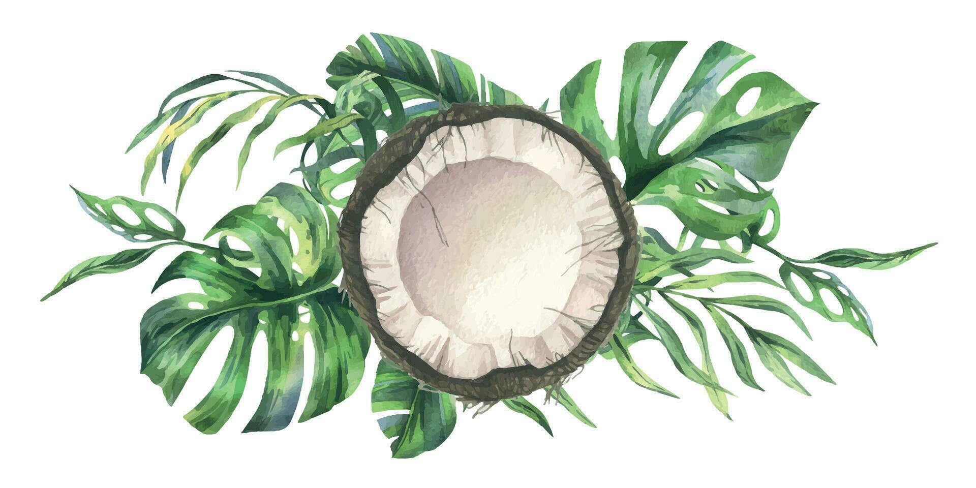 Coconuts whole, halves and pieces with bright, green, tropical palm leaves. Hand drawn watercolor illustration. Pre-made composition isolated from the background vector