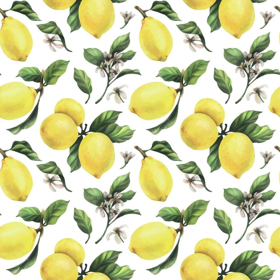 Lemons are yellow, juicy, ripe with green leaves, flower buds on the branches, whole and slices. Watercolor, hand drawn botanical illustration. Seamless pattern vector