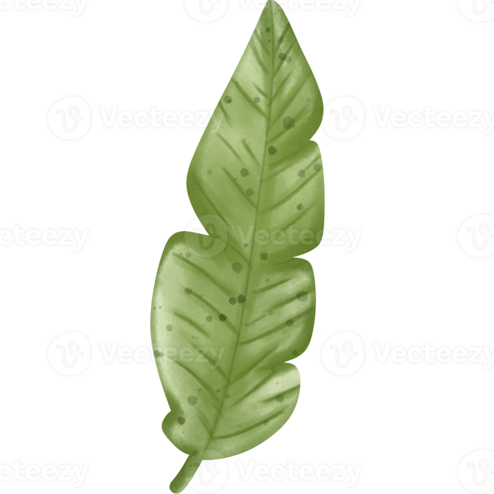 Summer day clipart png