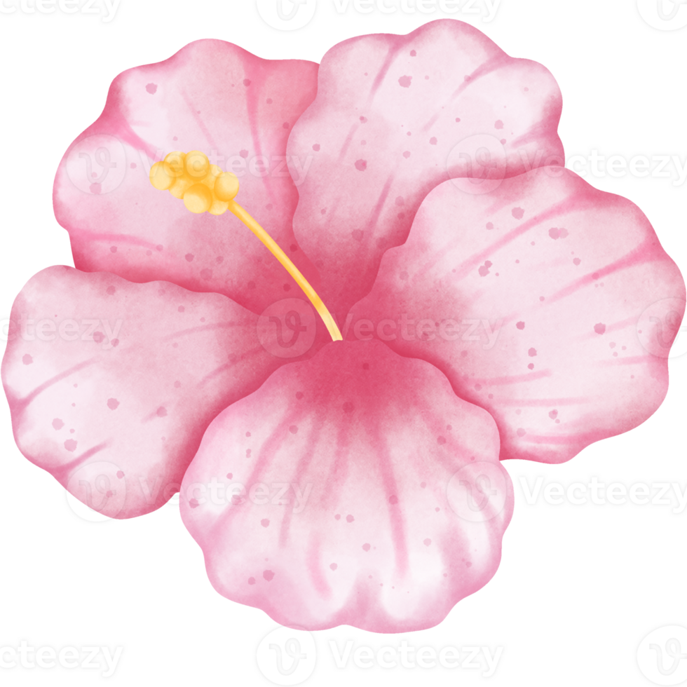 Summer day clipart png