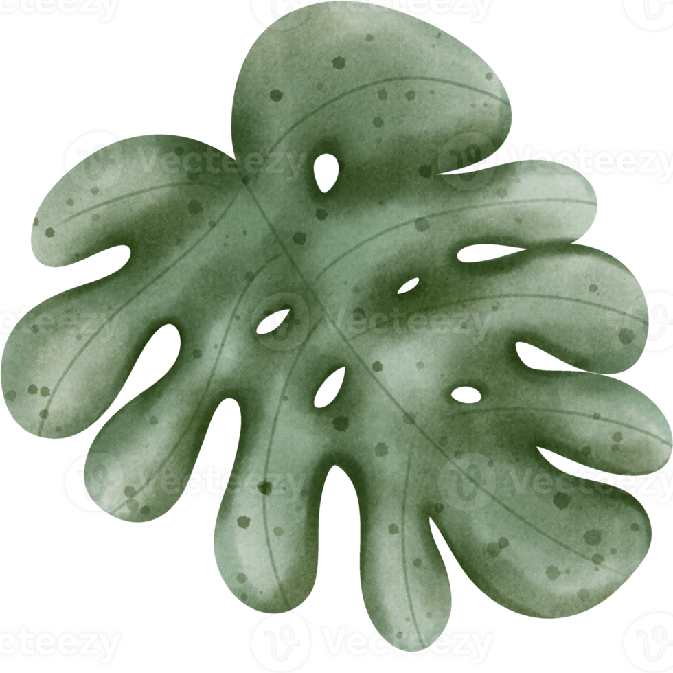 Summer day clipart png