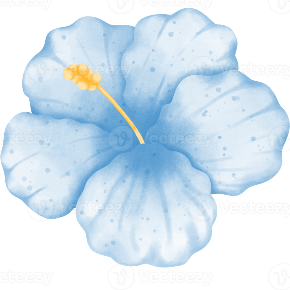 Summer day clipart png