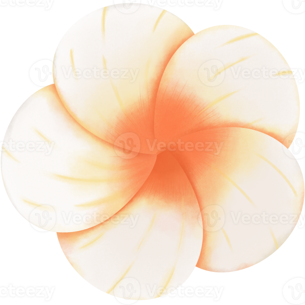 Summer day clipart png