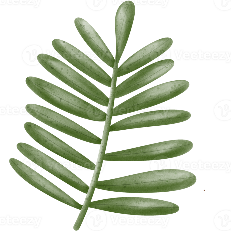 Summer day clipart png
