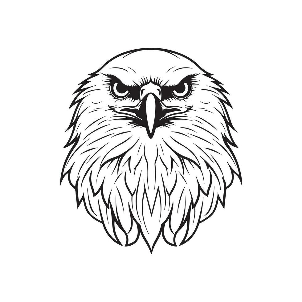 Eagle Vector Illustrations