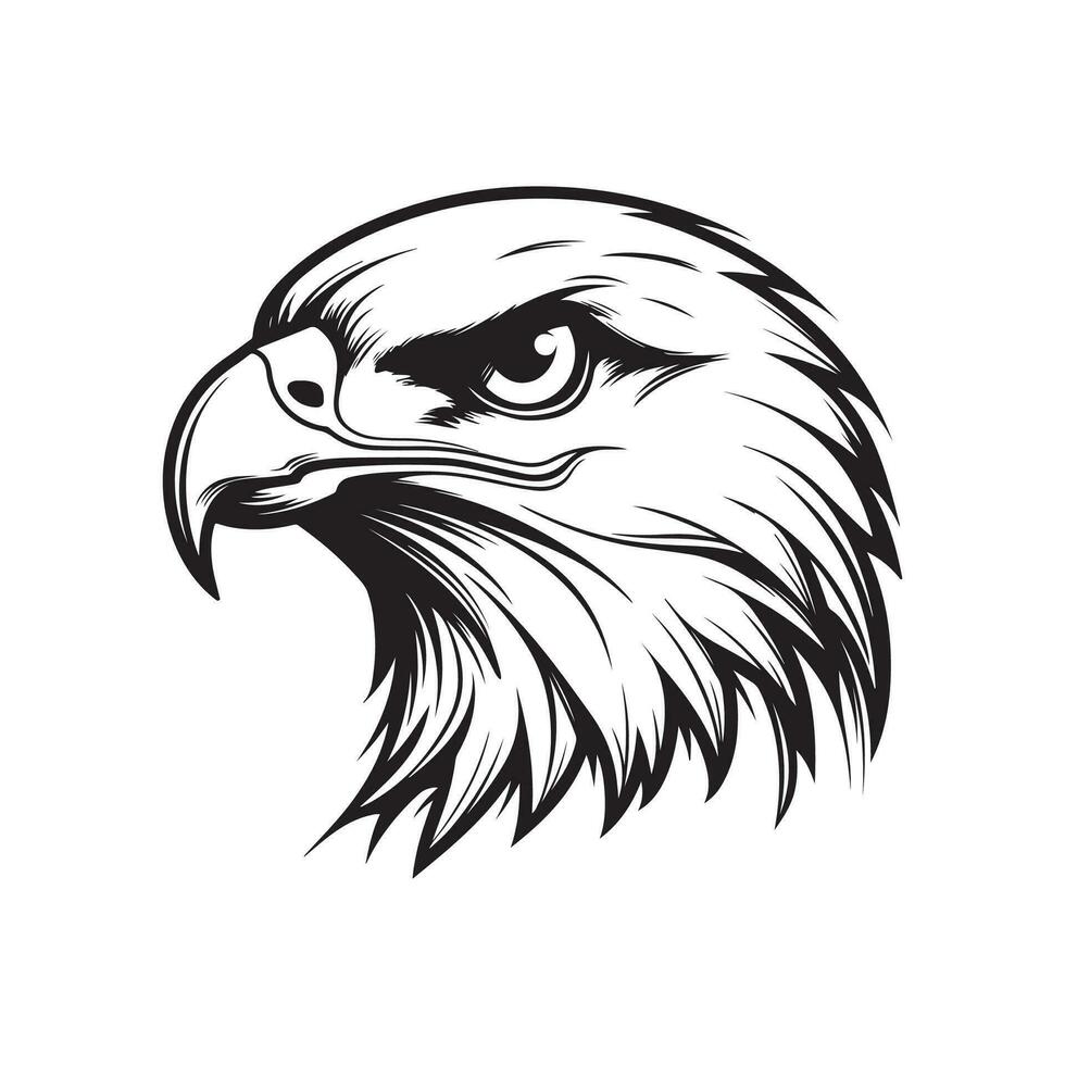 Eagle Vector Illustrations