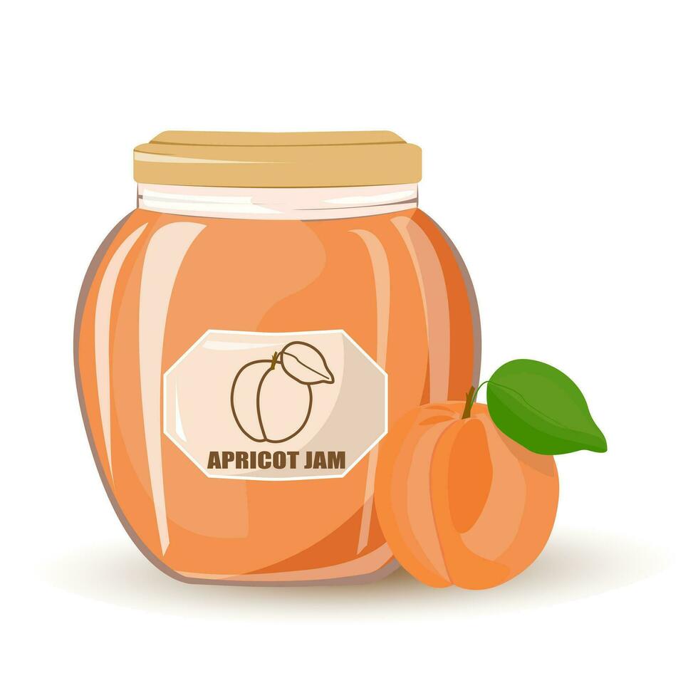Apricot jam in glass jar and fresh apricot.Natural product. Healthy eating and diet. Design of greeting cards, posters, patches, prints on clothes, emblems.Vector cartoon illustration vector