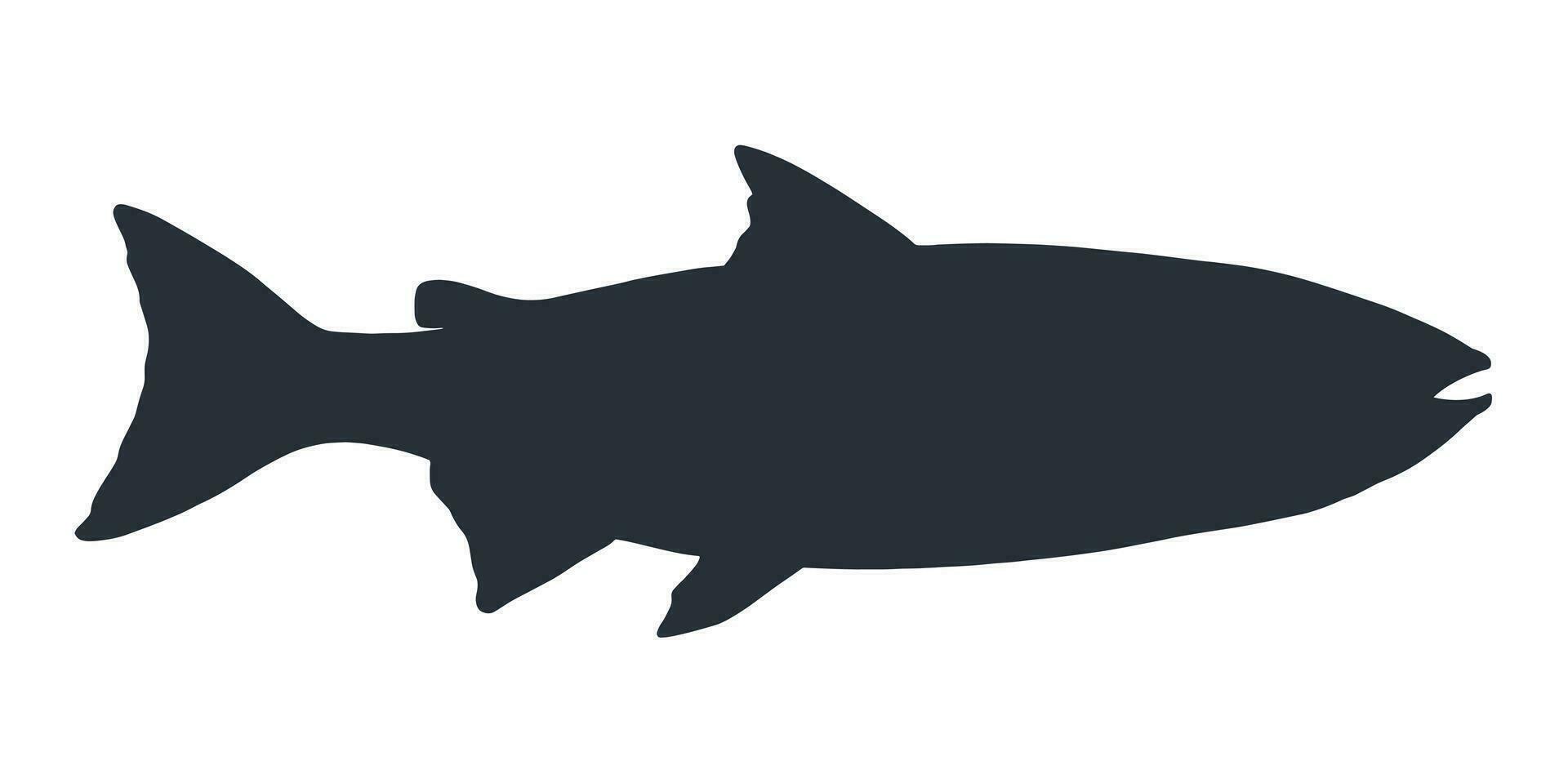 salmón pescado silueta. mano dibujado vector ilustración de pescado aislado en blanco antecedentes.