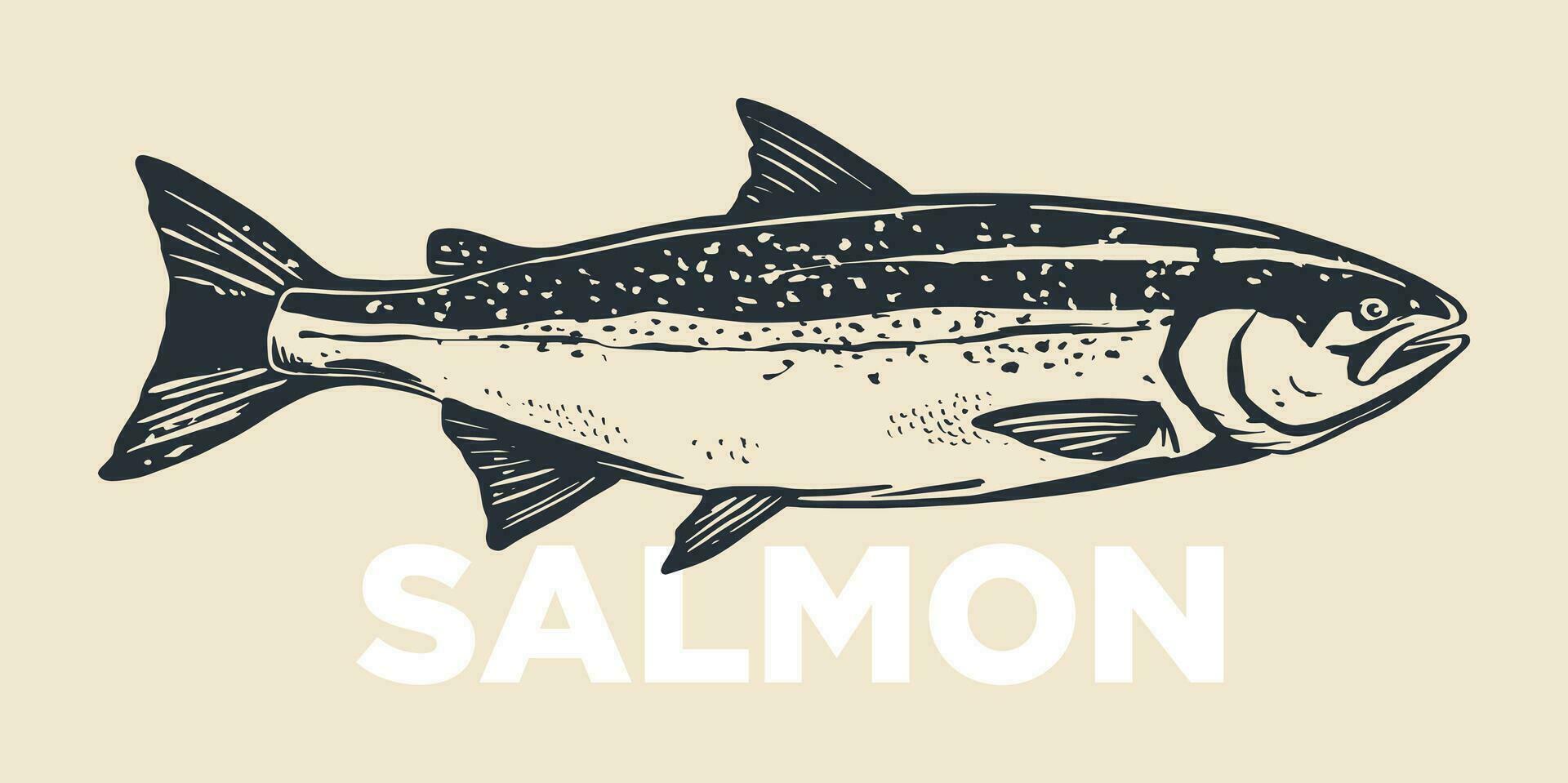 Salmon fish retro line ink sketch. Hand drawn vector illustration of fish isolated.
