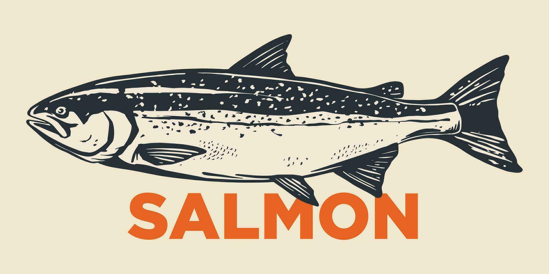 Salmon fish retro line ink sketch. Hand drawn vector illustration of fish isolated.