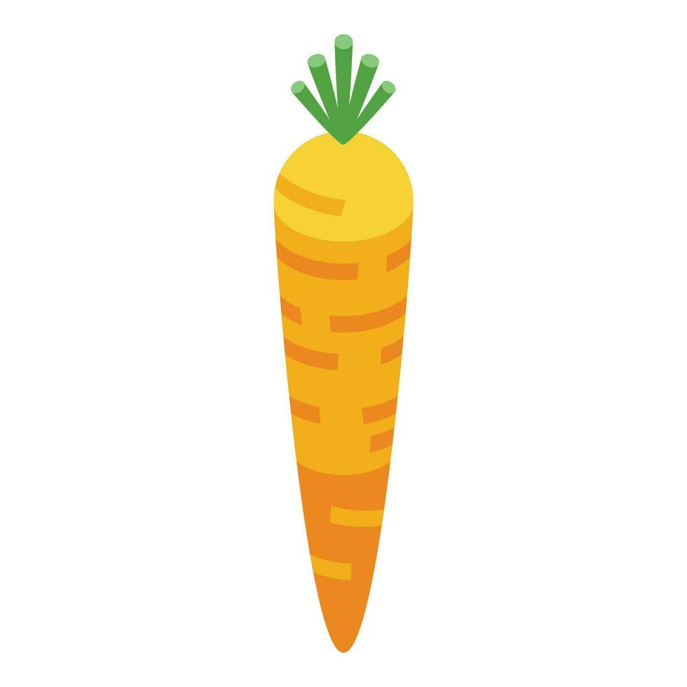Zanahoria vegetal icono isométrica vector. borsch cocinar comida vector