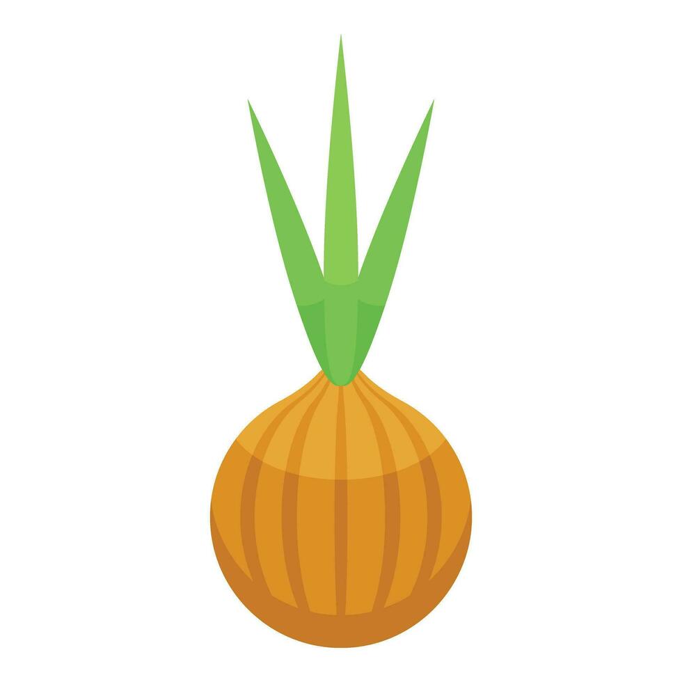 Fresh onion for borsch icon isometric vector. Vegetable dish vector