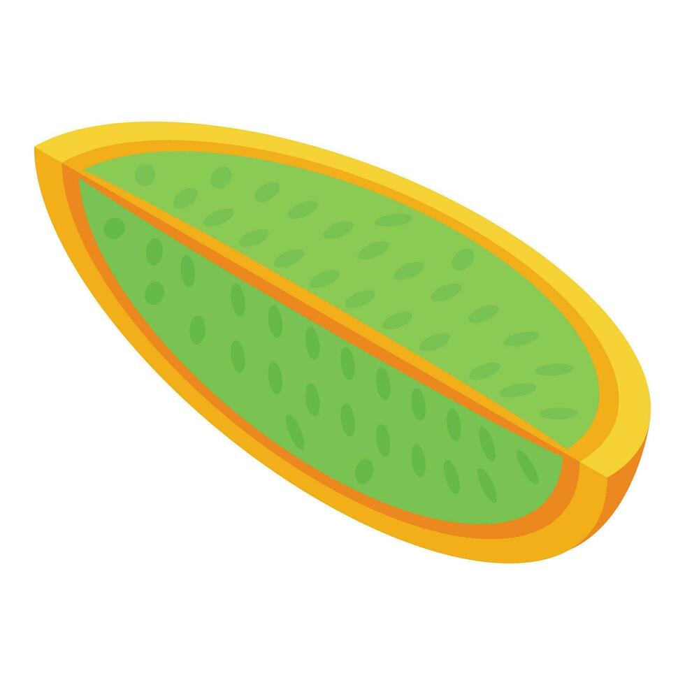 Slice of kiwano fruit icon isometric vector. Plant seed vector