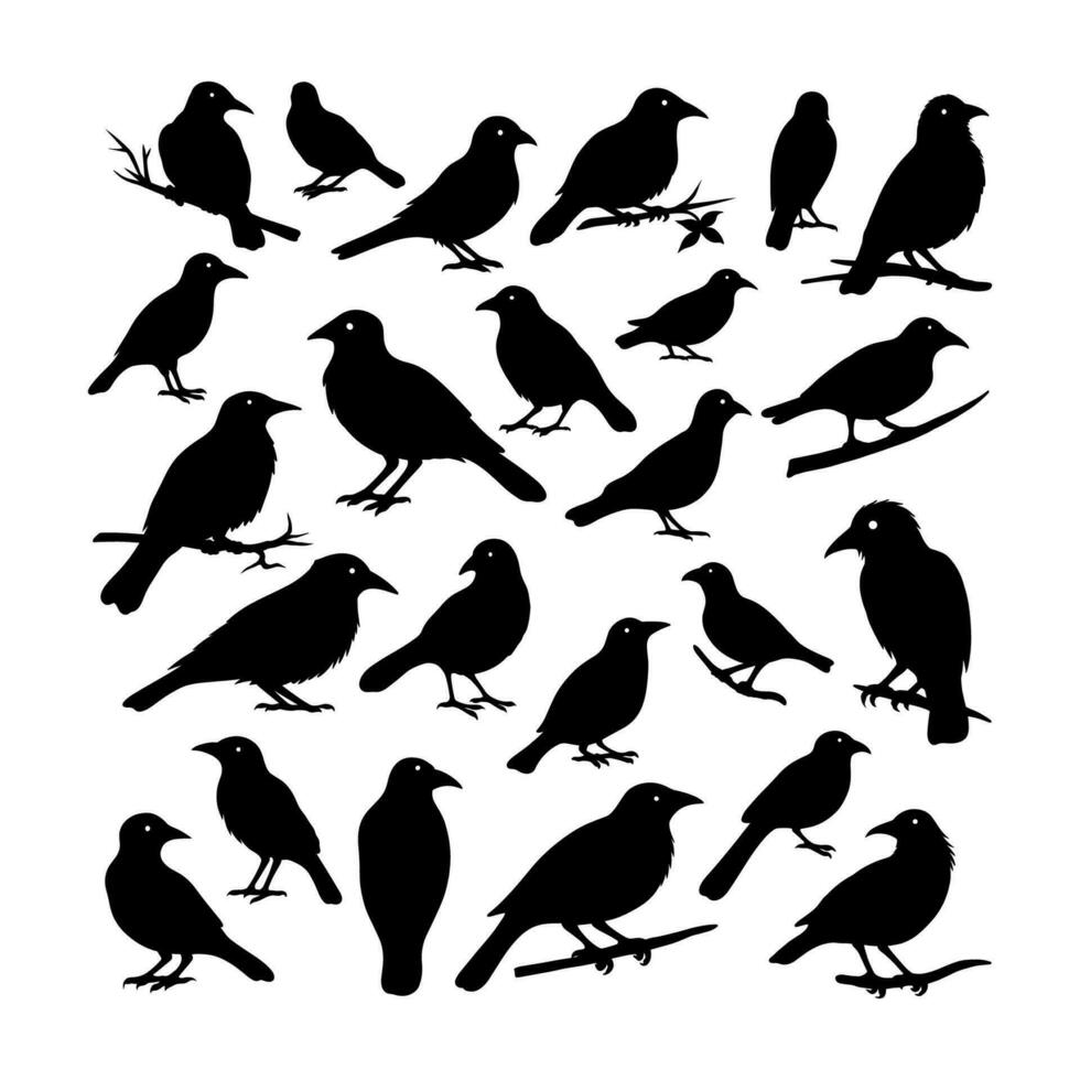 vector birds silhouettes collection white background