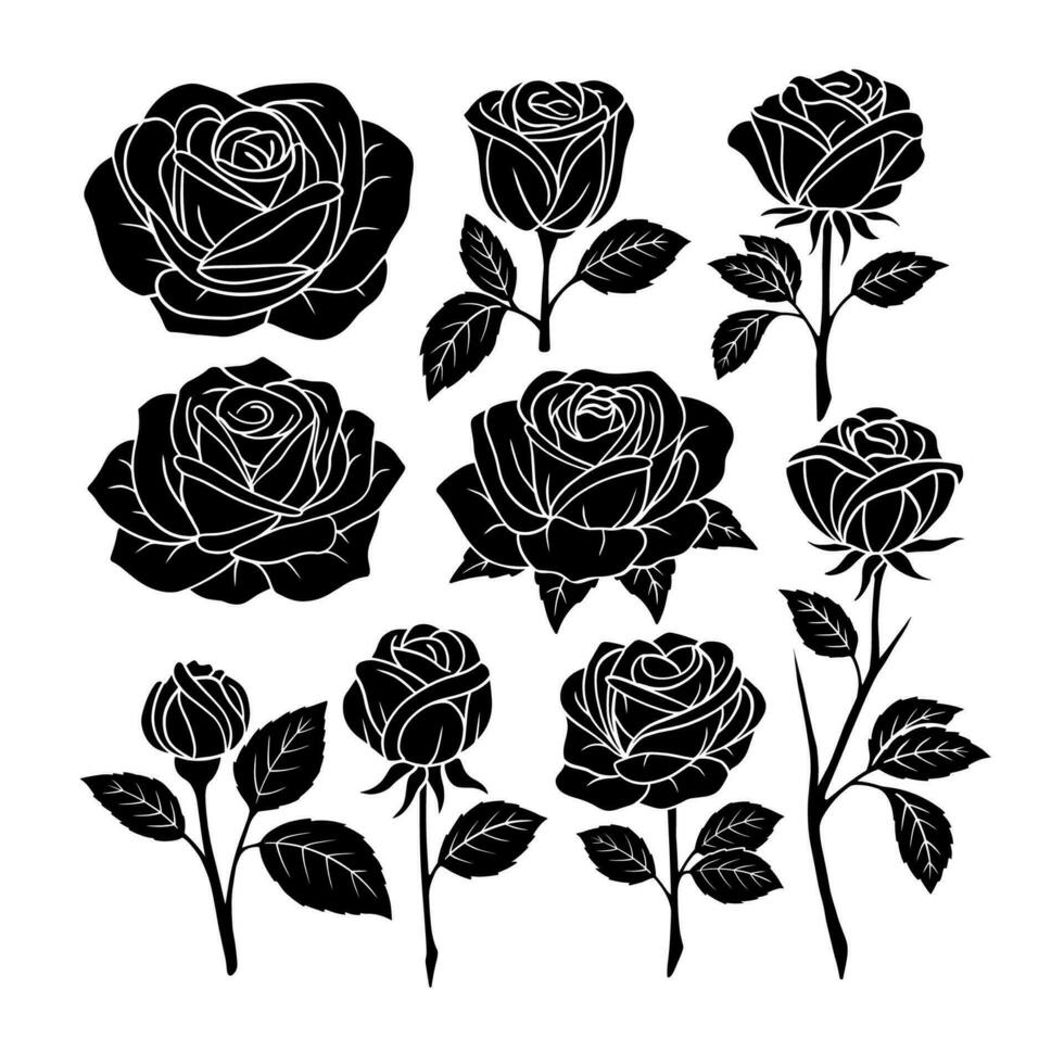 vector flat design roses silhouette white background