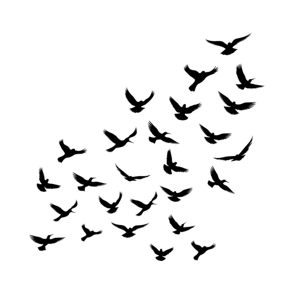 Vector a flock of flying silhouette birds vector illustration