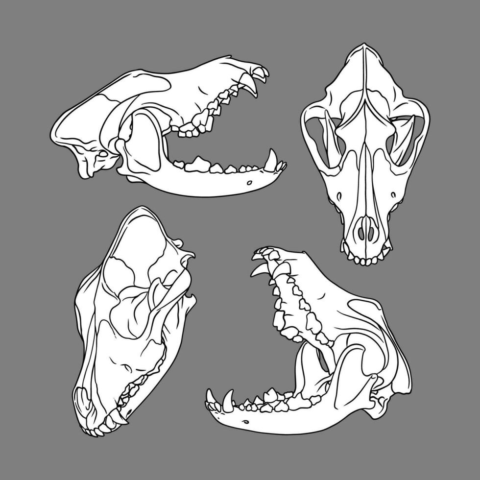 Vector dog skull. dog silhouette vector illustration art