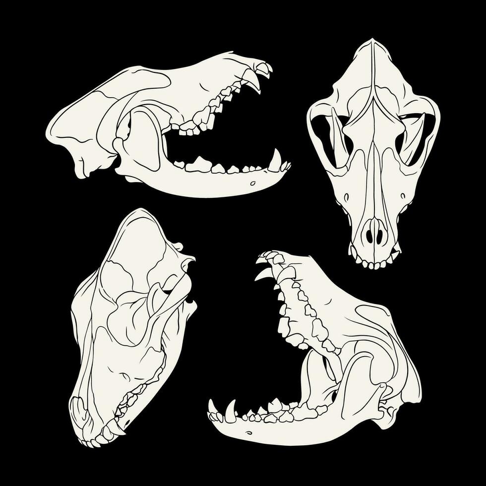 Vector dog skull. dog silhouette vector illustration art