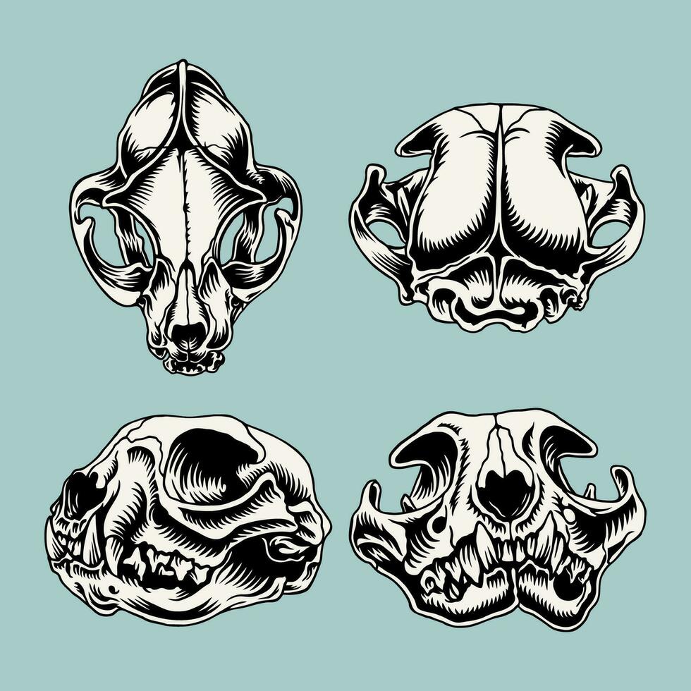 Vector cat skull cat silhouette vector illustration art