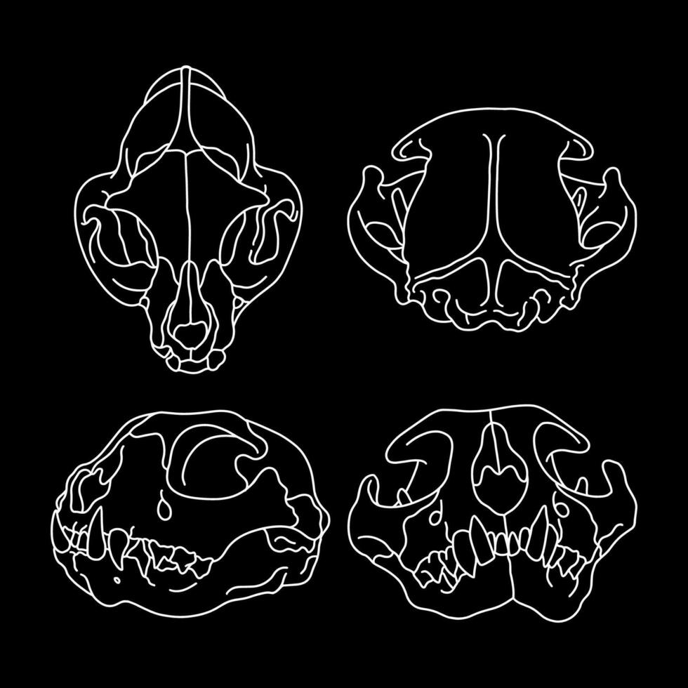 Vector cat skull cat silhouette vector illustration art