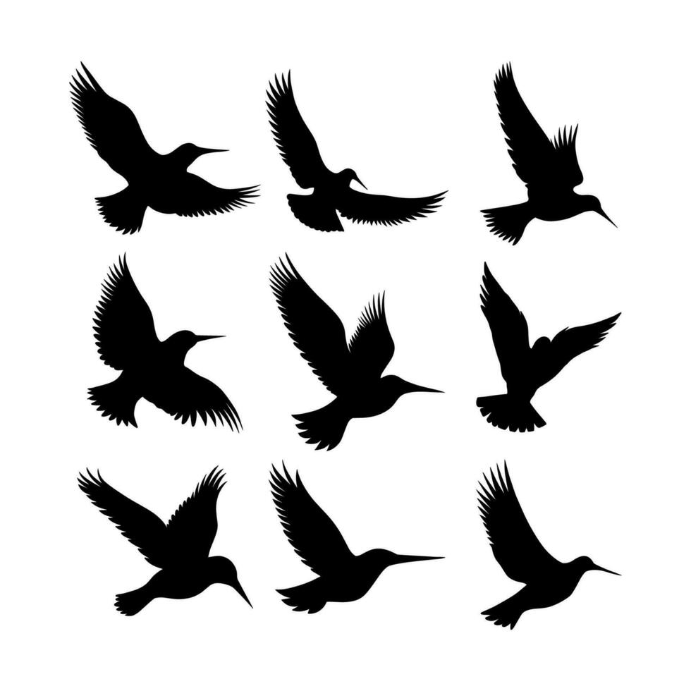 vector birds silhouettes collection white background