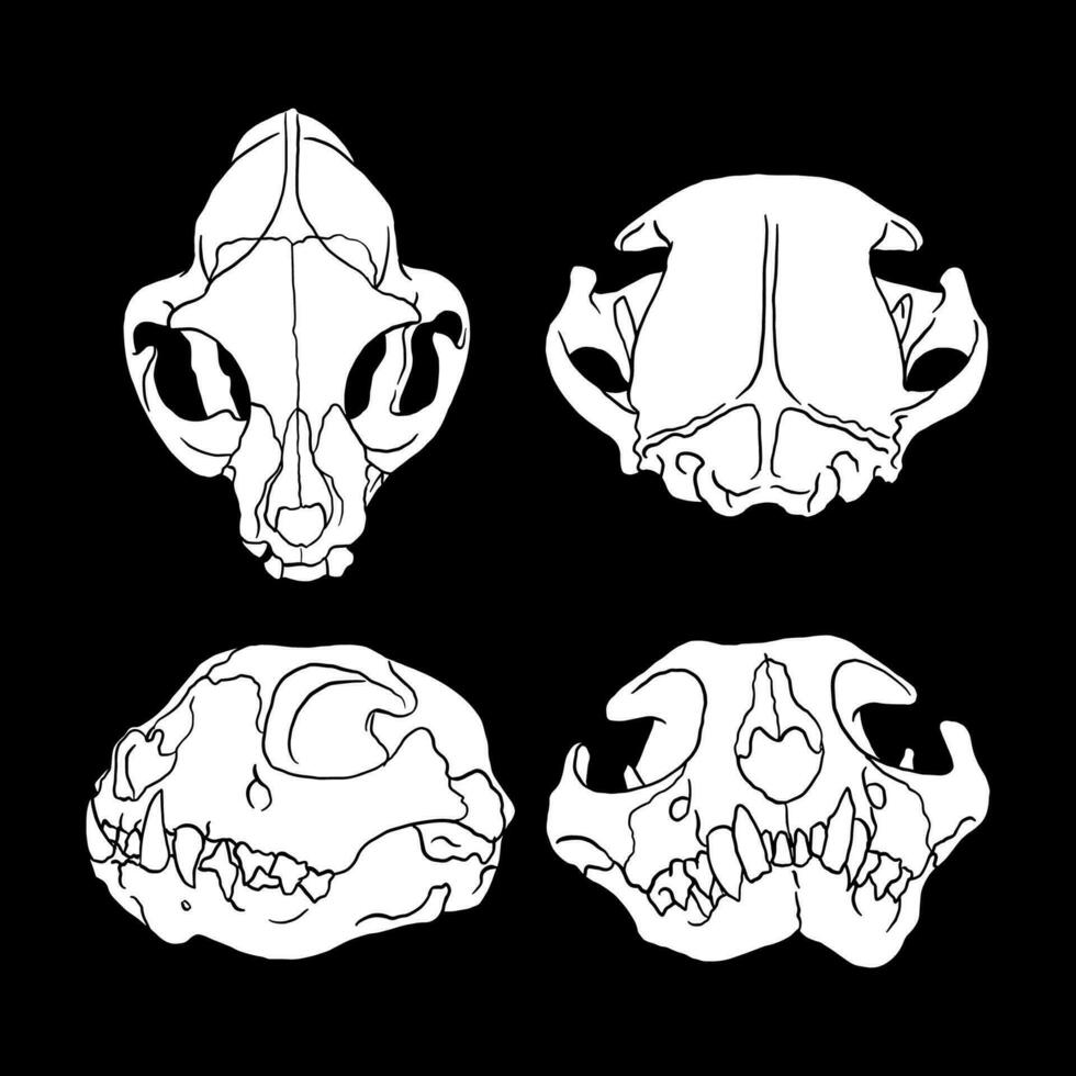 Vector cat skull cat silhouette vector illustration art