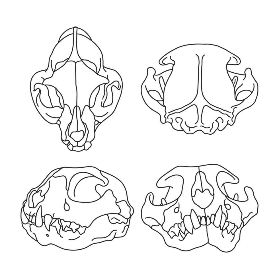 Vector cat skull cat silhouette vector illustration art