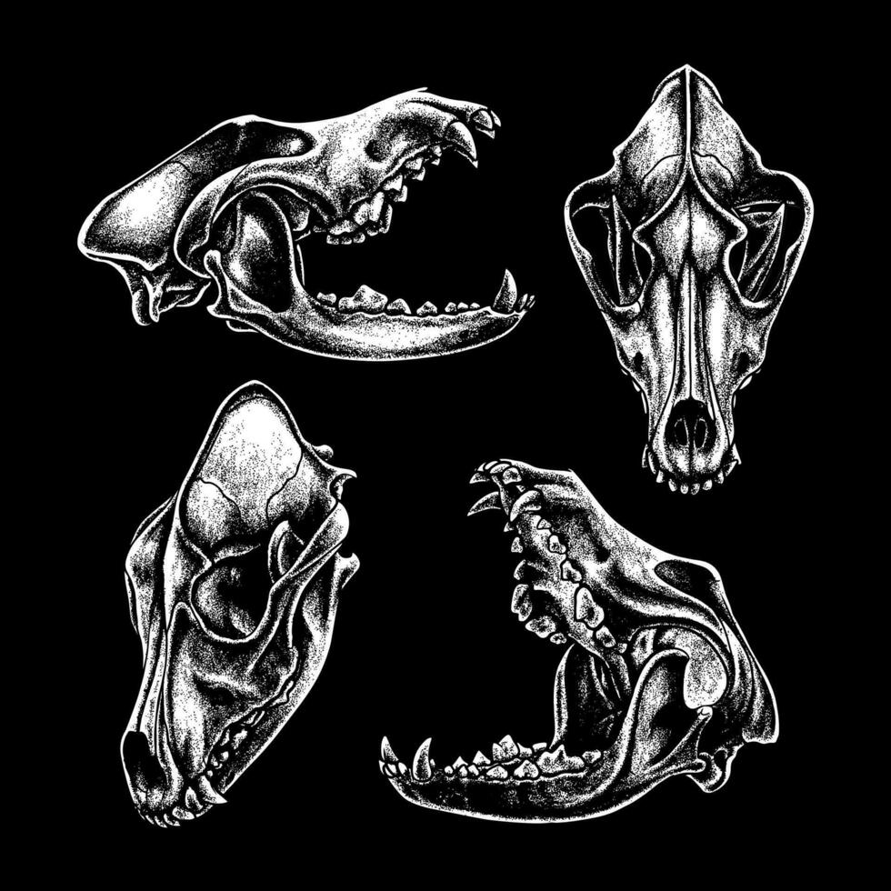 Vector dog skull. dog silhouette vector illustration art