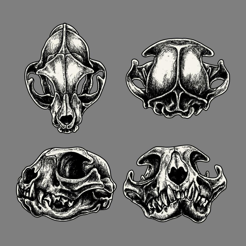Vector cat skull cat silhouette vector illustration art