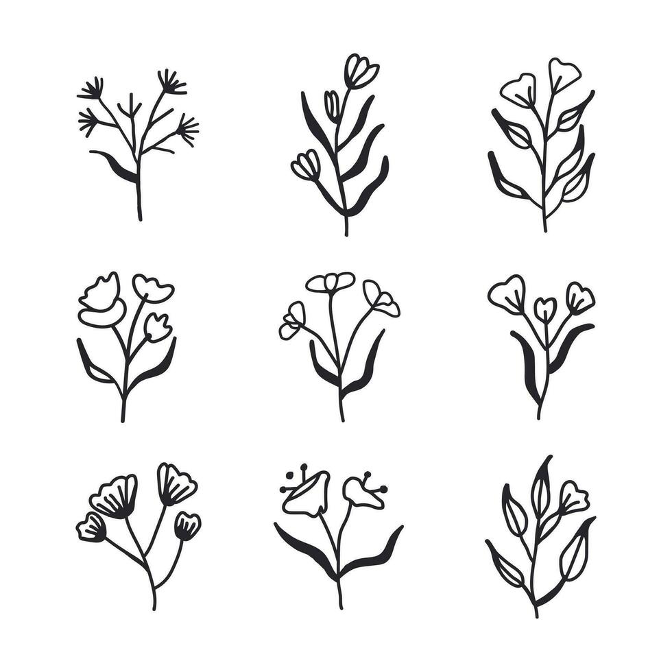 A collection of flowers hand drawn on a white background vector