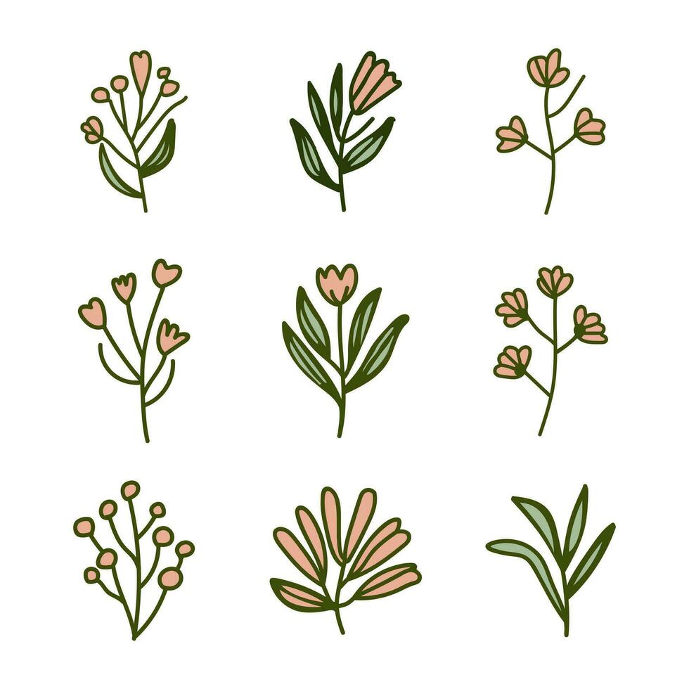 A collection of flowers hand drawn on a white background vector