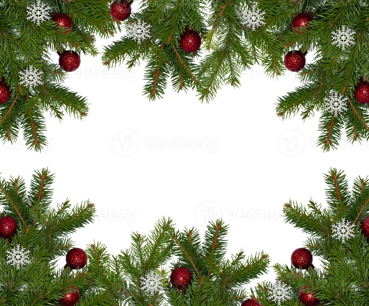 Christmas branch of a natural tree with red balls on a white background close-up. Isolate photo