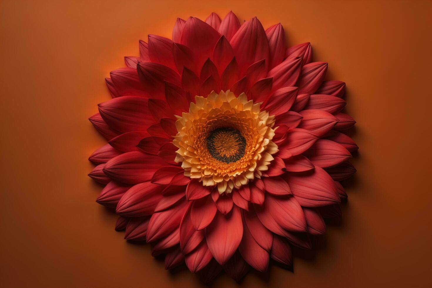 AI generated Beautiful red gerbera flower on orange background, top view. generative ai photo