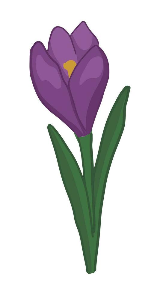 Crocus doodle. Spring time flower clipart. Cartoon vector illustration isolated on white background.