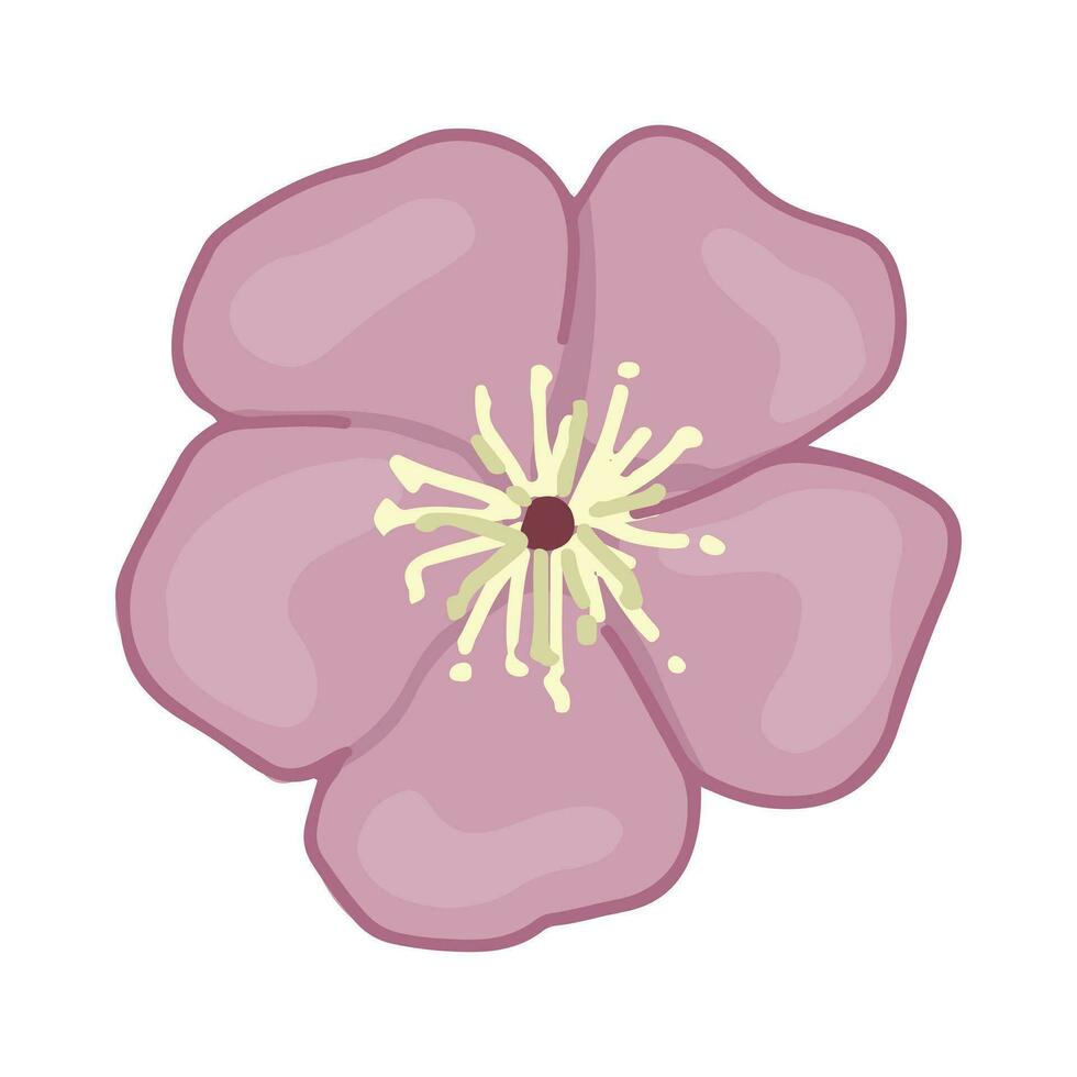 Cherry blossom flower doodle. Spring time botanical clipart. Cartoon vector illustration isolated on white background.