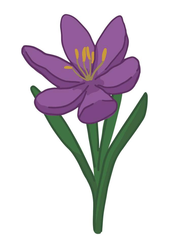 azafrán garabatear. primavera hora flor clipart. dibujos animados vector ilustración aislado en blanco antecedentes.